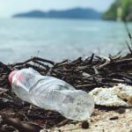 The Environmental Impact of Non-Biodegradable Products