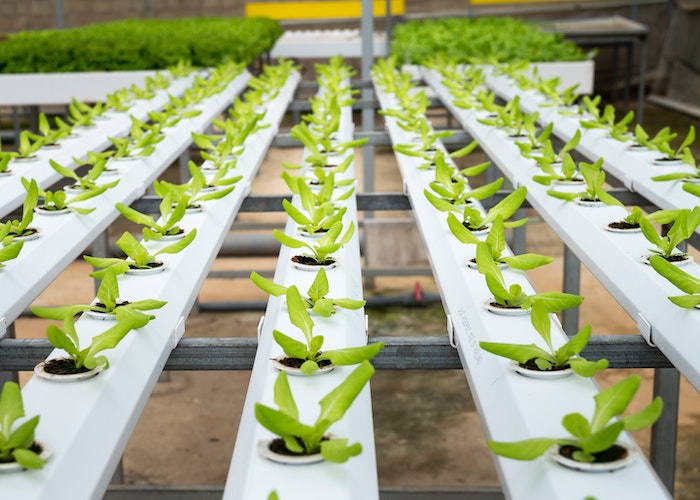 Future of Renewable Energy-Powered Agriculture