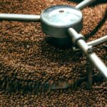 Best Espresso Beans for Breville Machine